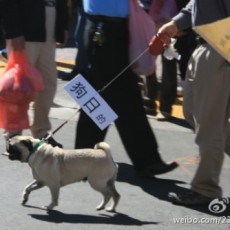 9月15日美国华人保钓游行-旧金山