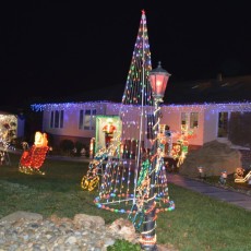 fremont xmas lights-38643 Glencoe Dr