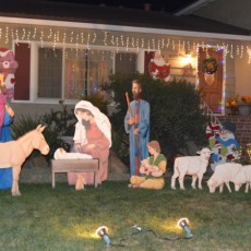 fremont xmas lights- crippsmas place8