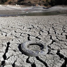 加州干旱 圣何塞Almaden Reservoir