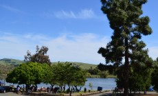 ed levin park_party