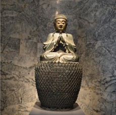 leland stanford junior museum_india